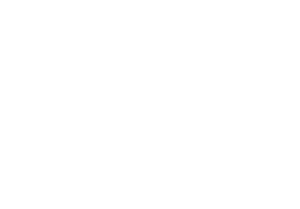 Wechner Wärmepumpen Logo